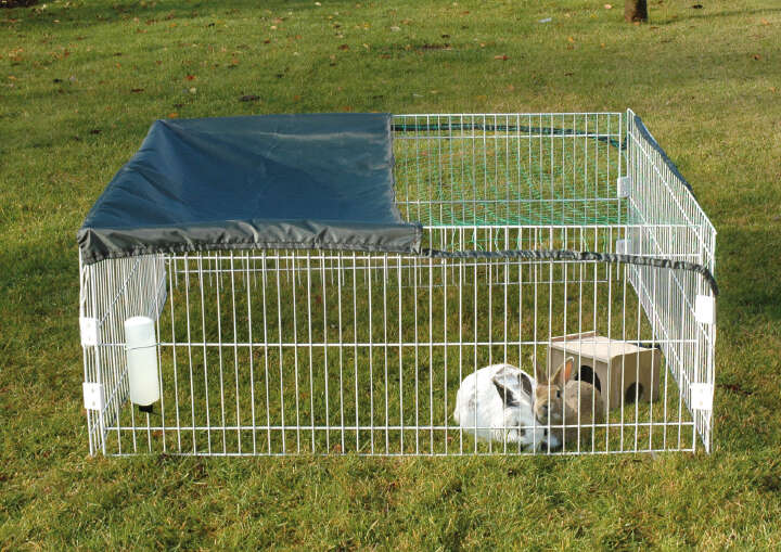 dobar Freilaufgehege mit Häuschen